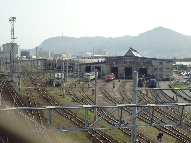 DSC00380_800_compressed.jpg