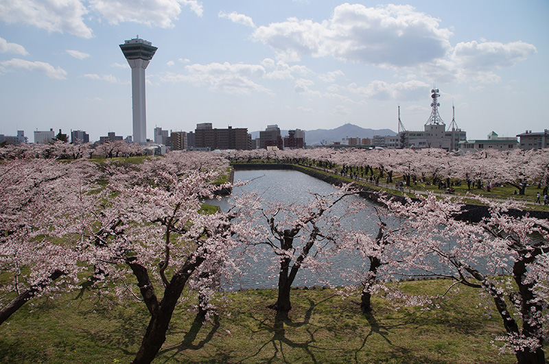 20150425_goryoukaku04.jpg