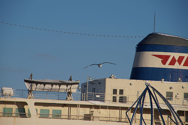 DSC03370_800.jpg