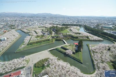 五稜郭タワー上から