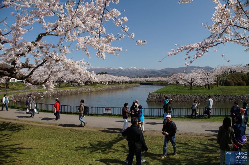 五稜郭公園外周その1